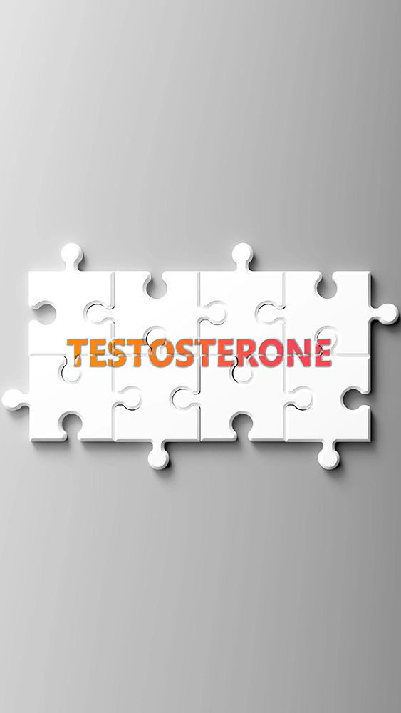 testosterona 3 testosterona 3